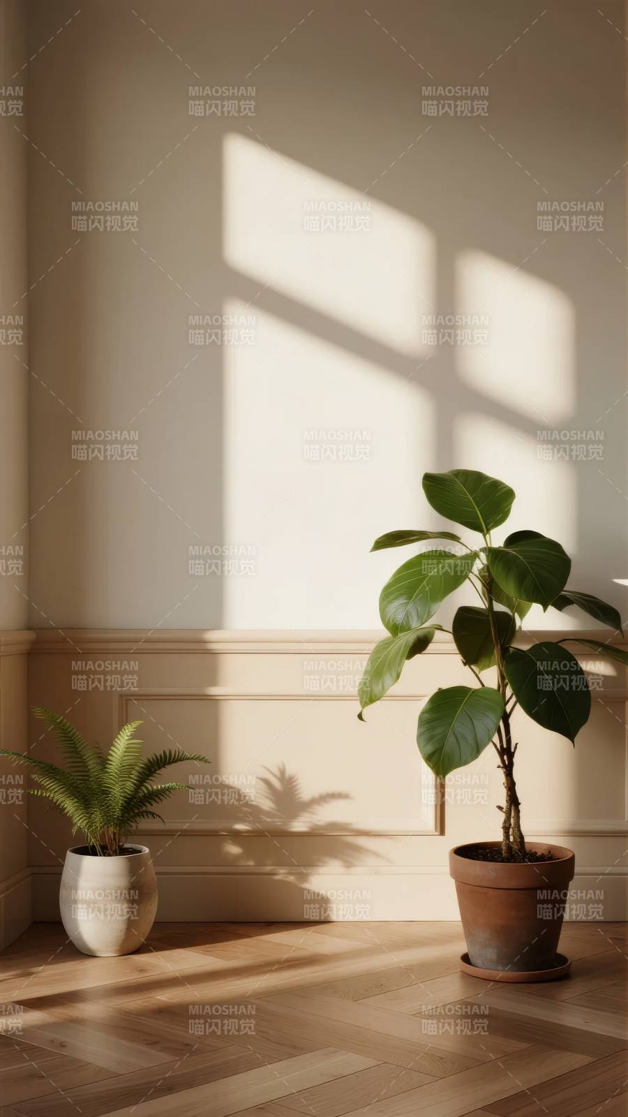 光影中的绿植静谧图片