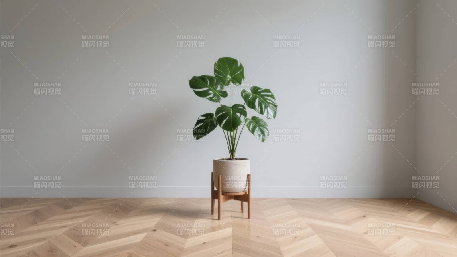 绿植点缀简约空间图片