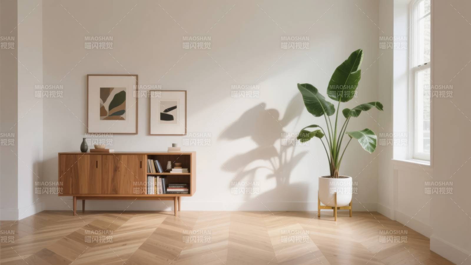 简约家居绿植光影图片