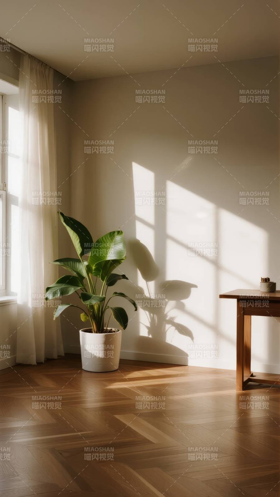 阳光下的绿植角落图片