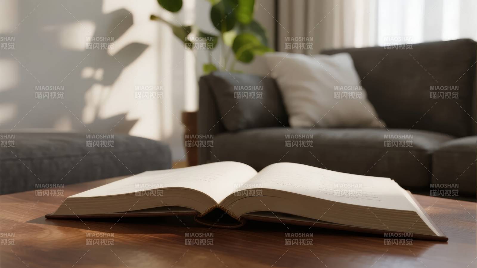 书页静开 光影相伴图片