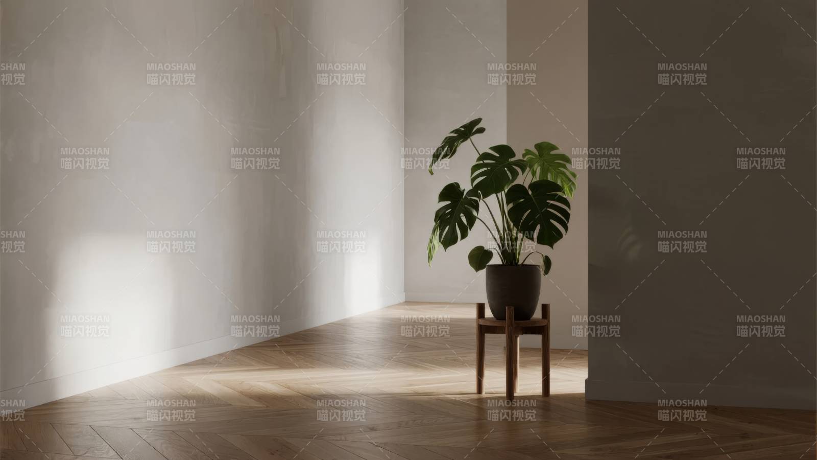 绿植静置光影间图片