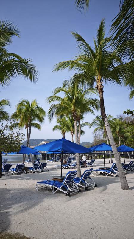 椰林沙滩休闲午后图片