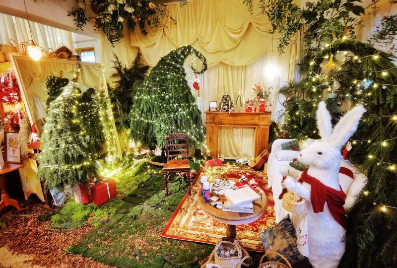 圣诞兔与树的温馨夜图片