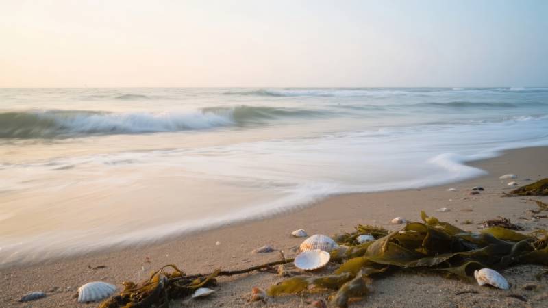 海滩晨曦静谧美图片