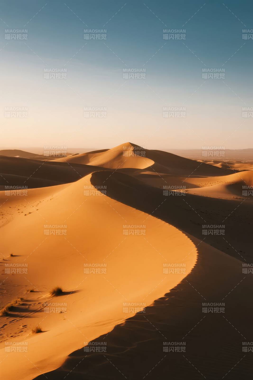 金色沙丘晨曦图片