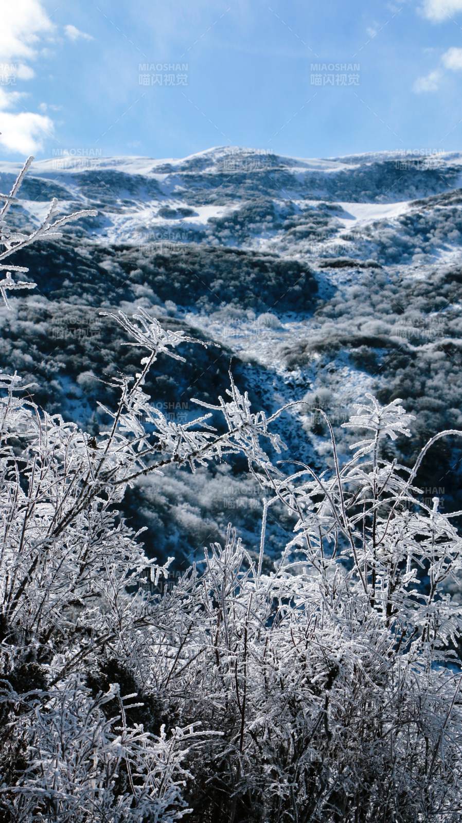 雪覆山野 冬日静谧图片