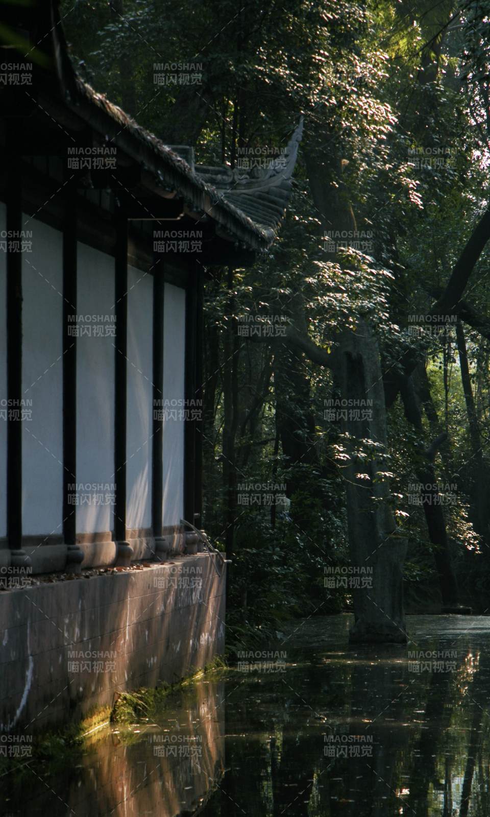 林间古屋静谧景图片