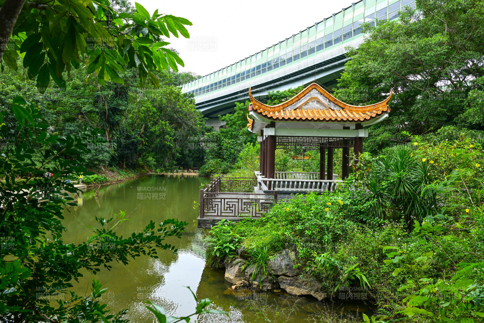 深圳仙湖植物园园林古亭与现代天桥融合景观图片