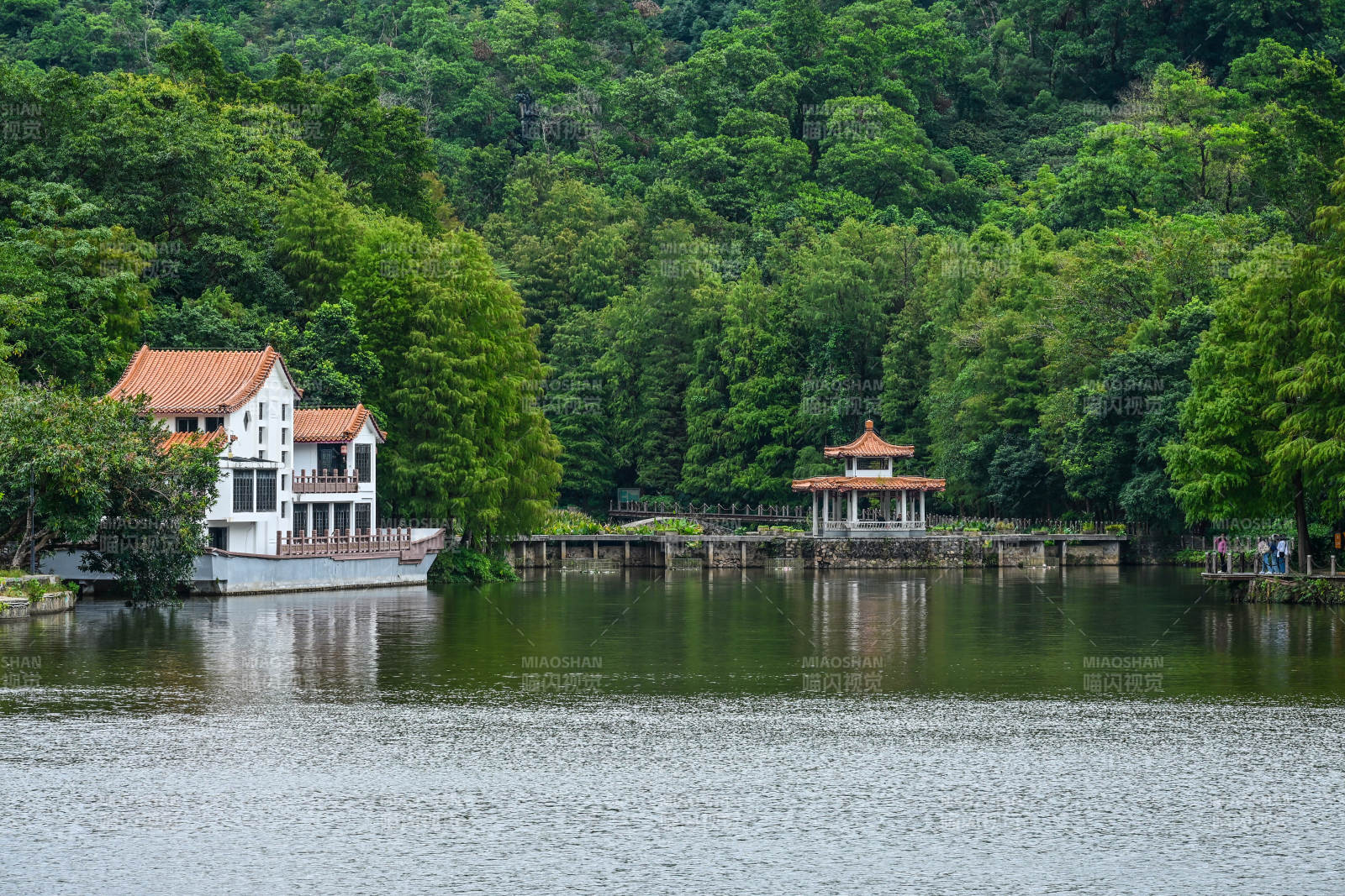 深圳仙湖植物园湖光山色中的别墅景观图片