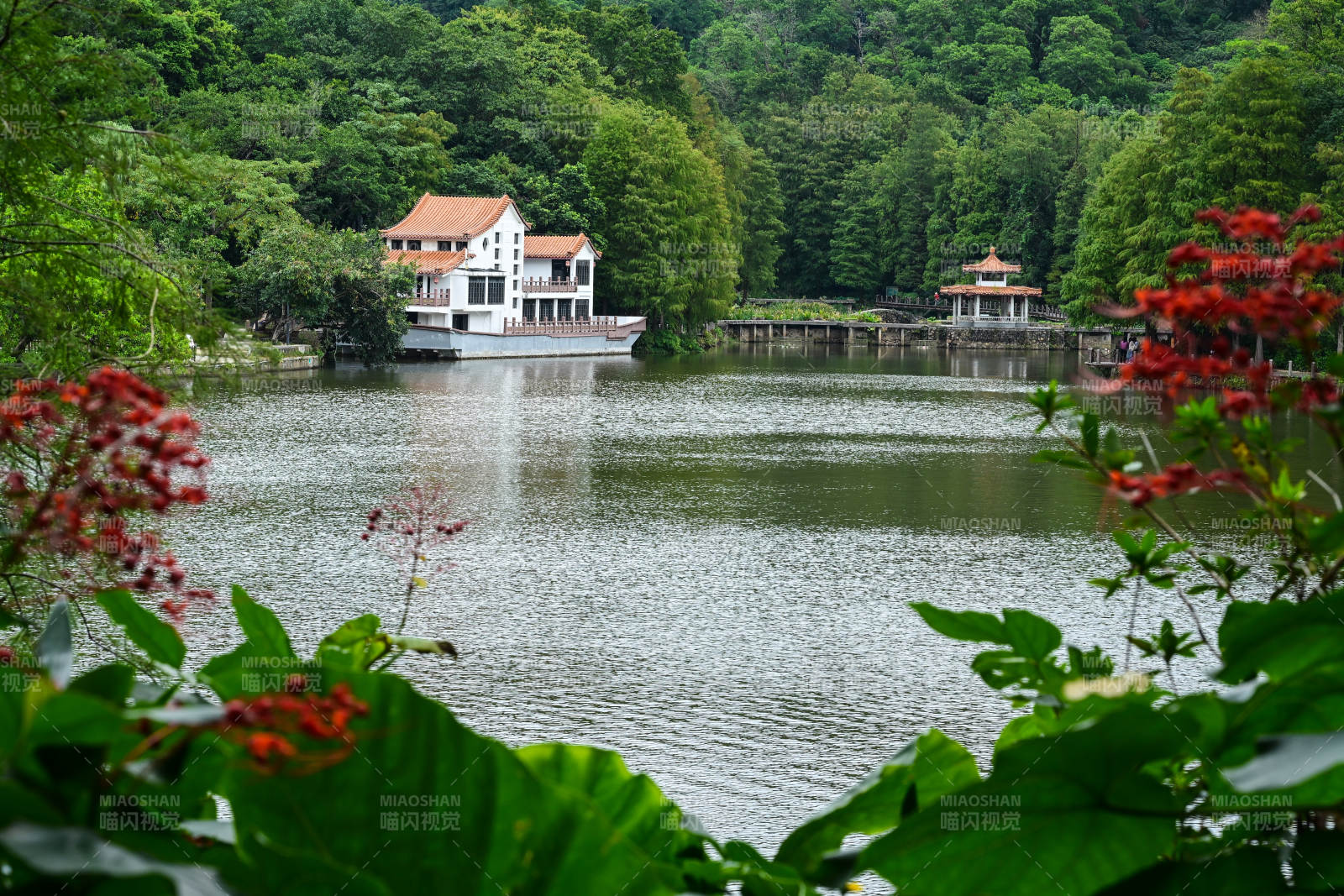 深圳仙湖植物园湖光山色中的别墅景观图片