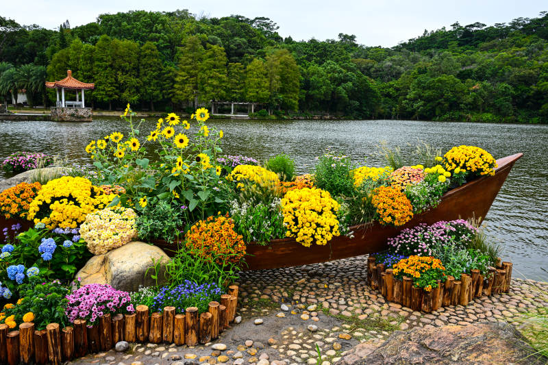 深圳仙湖植物园湖边花卉装饰的花船景观图片