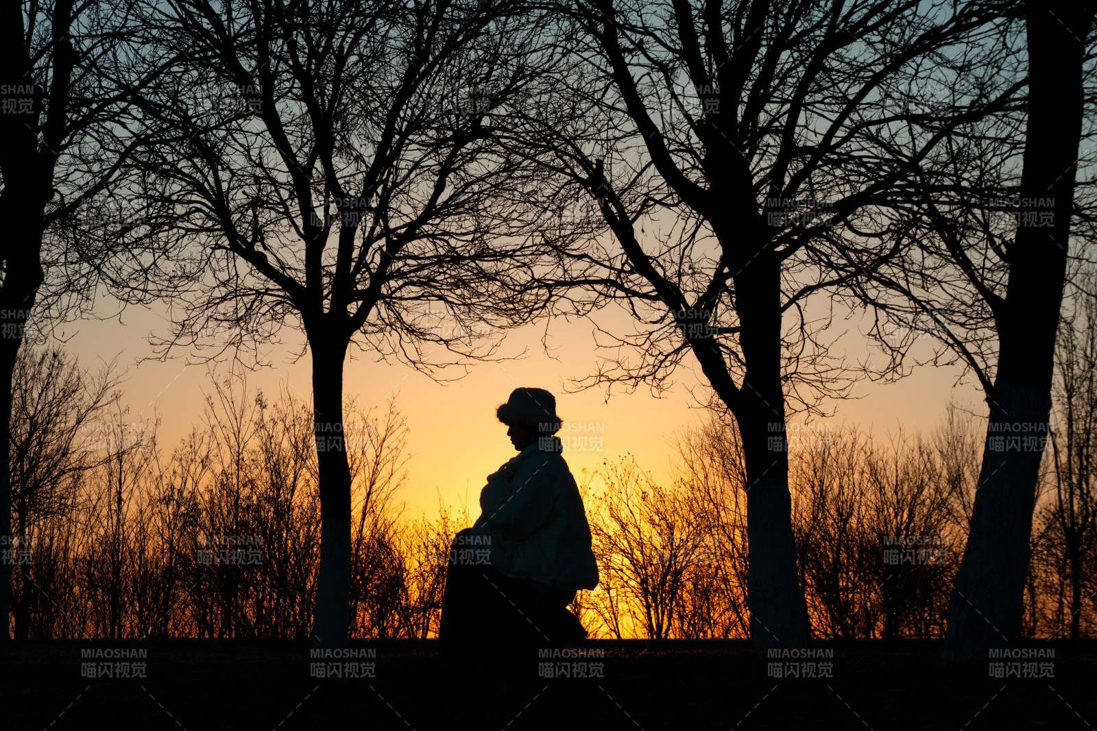 黄昏树影人 silhouette图片