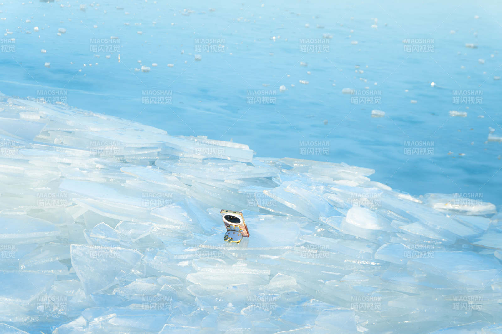 冰海中的企鹅图片