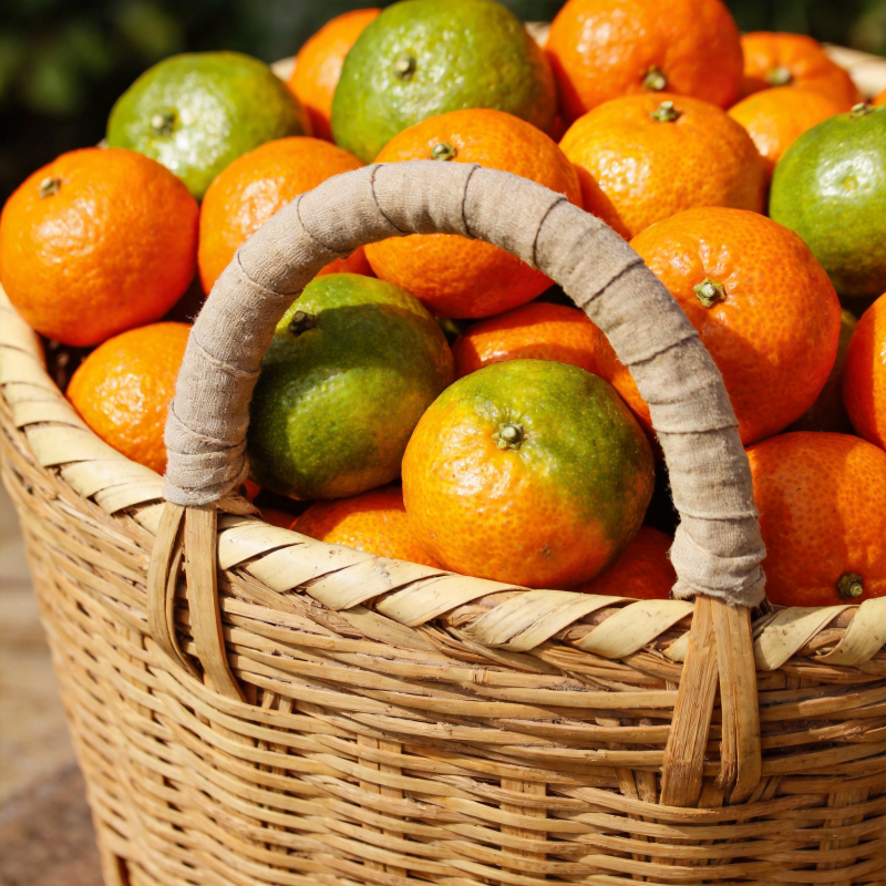 橙绿相间的果篮图片