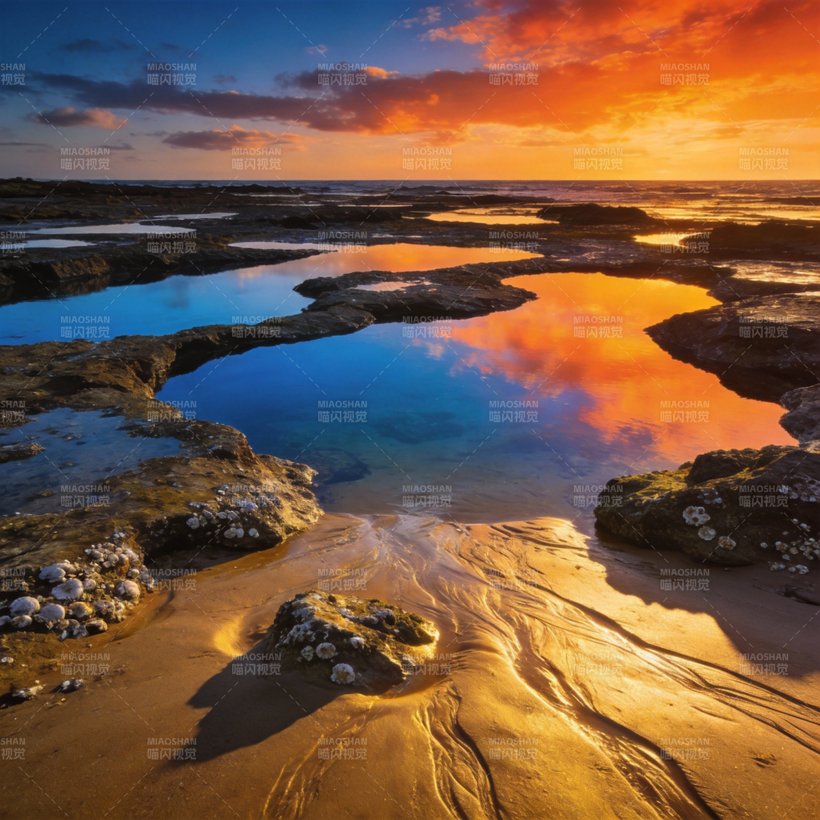 夕阳滩涂映彩霞图片