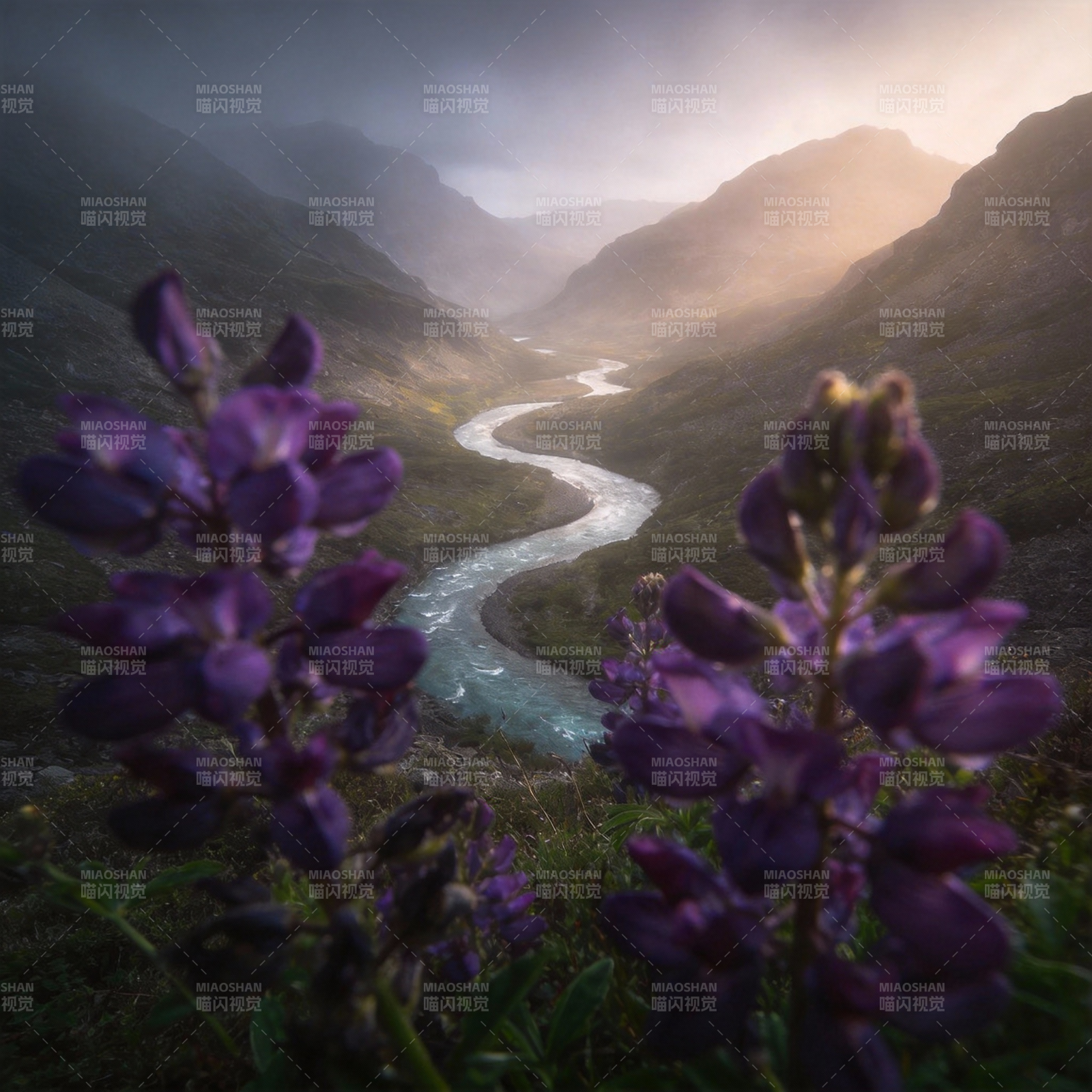 山间紫花溪流图片