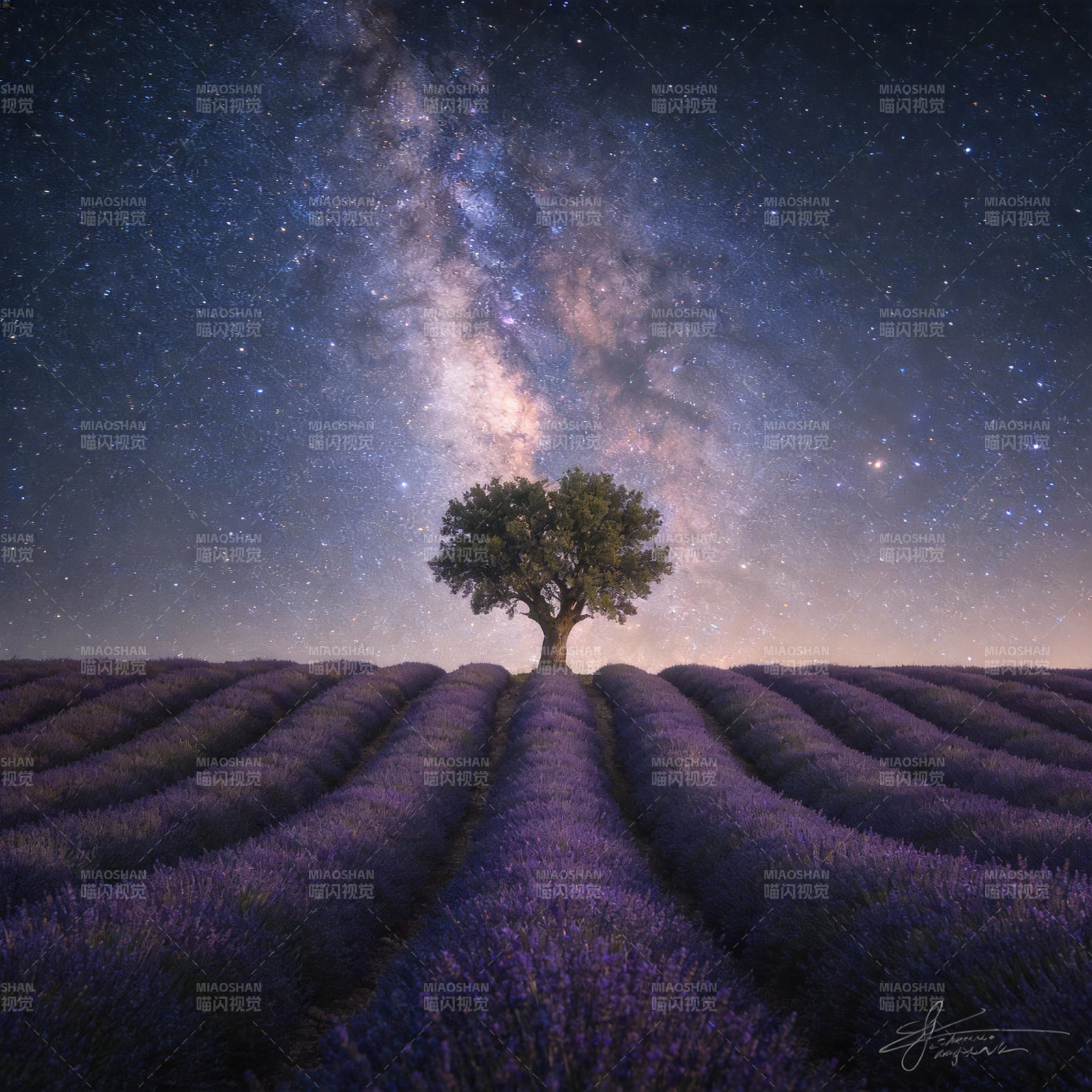 星河下的薰衣草田图片