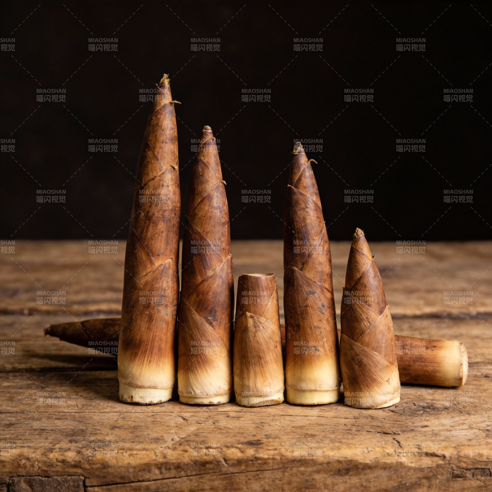 竹笋静物图图片