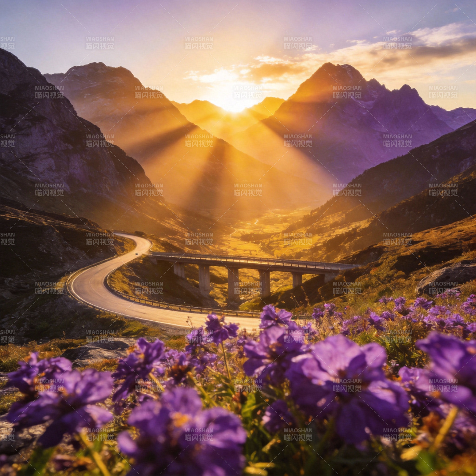 山间日出花路图片