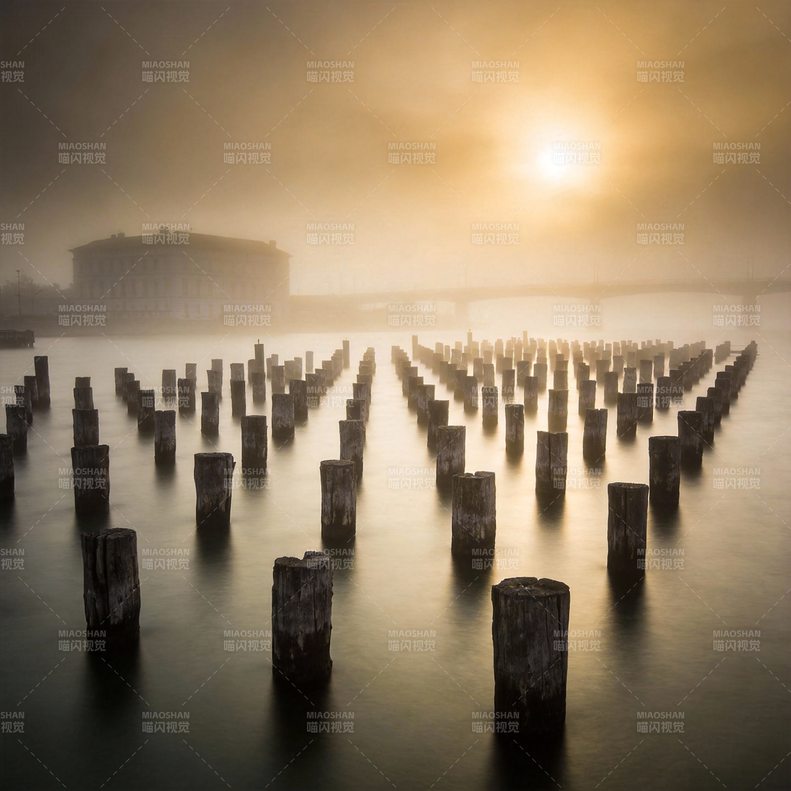 雾中木桩日出图片