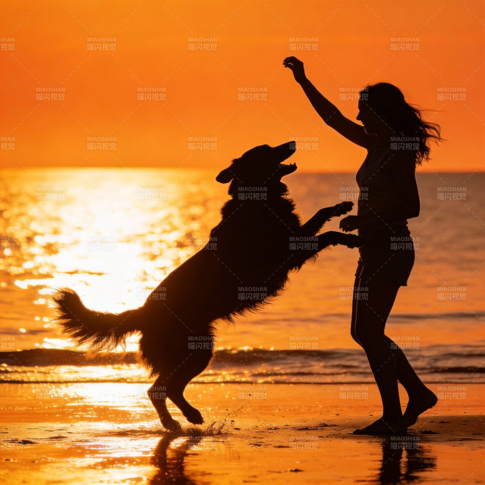 夕阳下人狗嬉戏图片