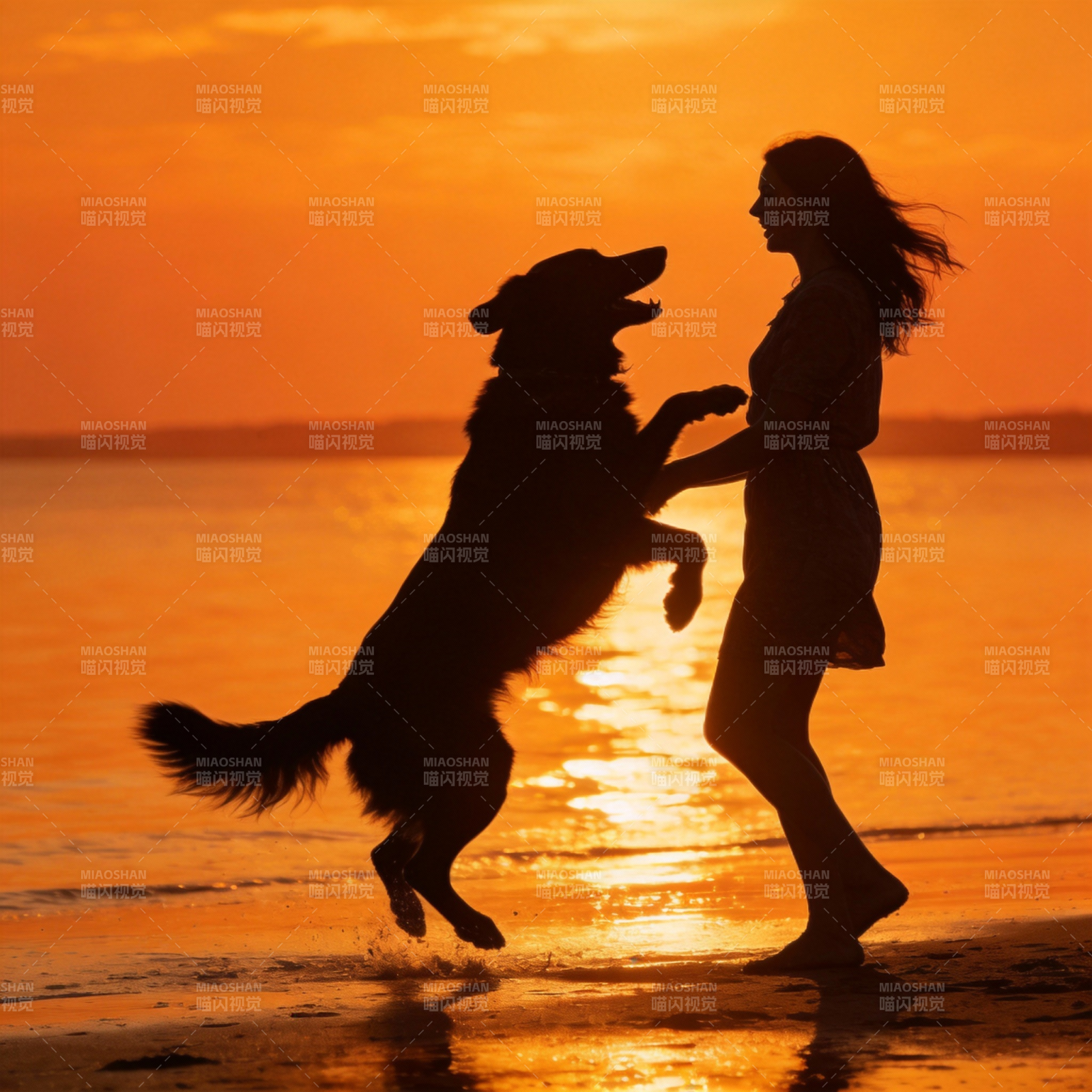 夕阳下人狗嬉戏图片