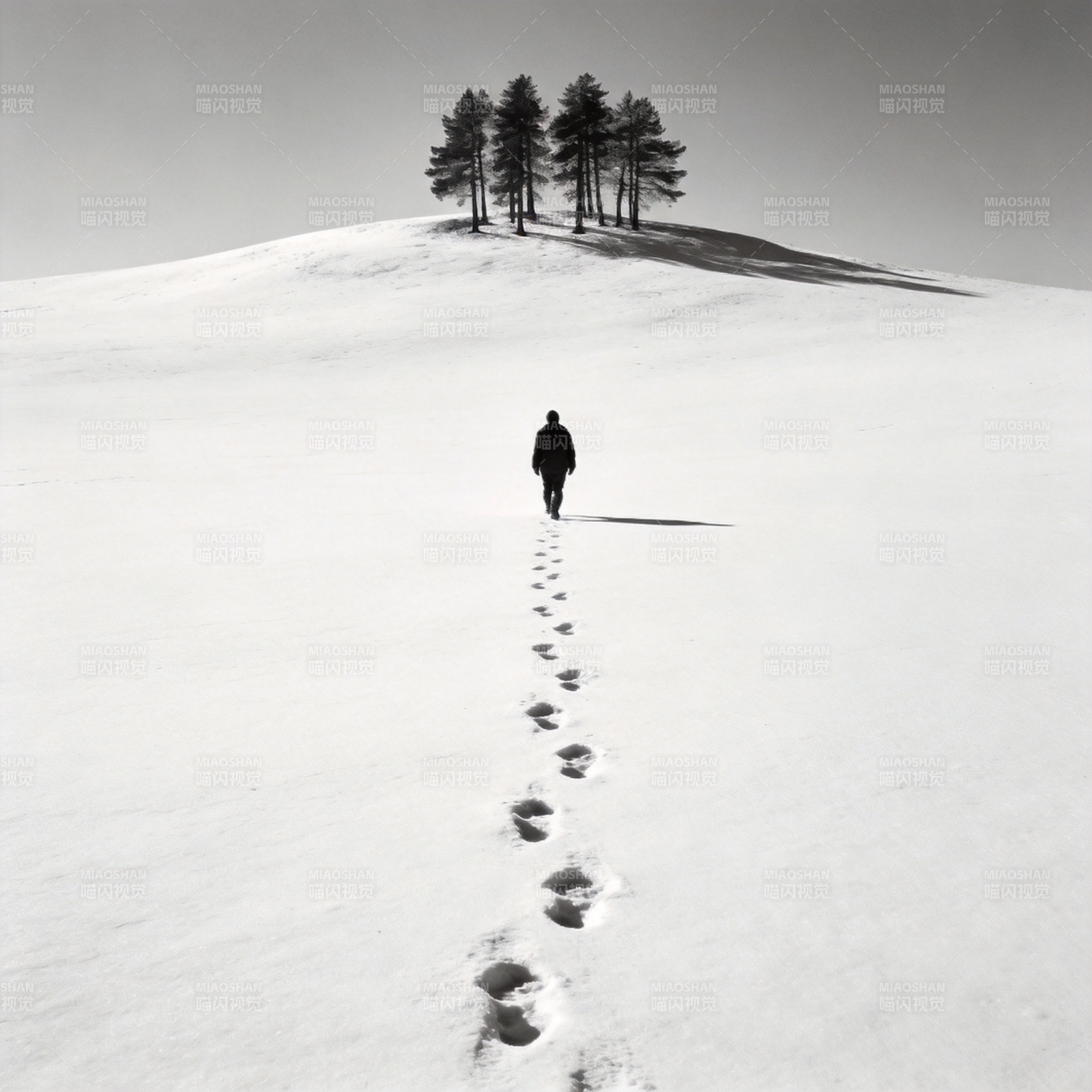 雪径独行图片