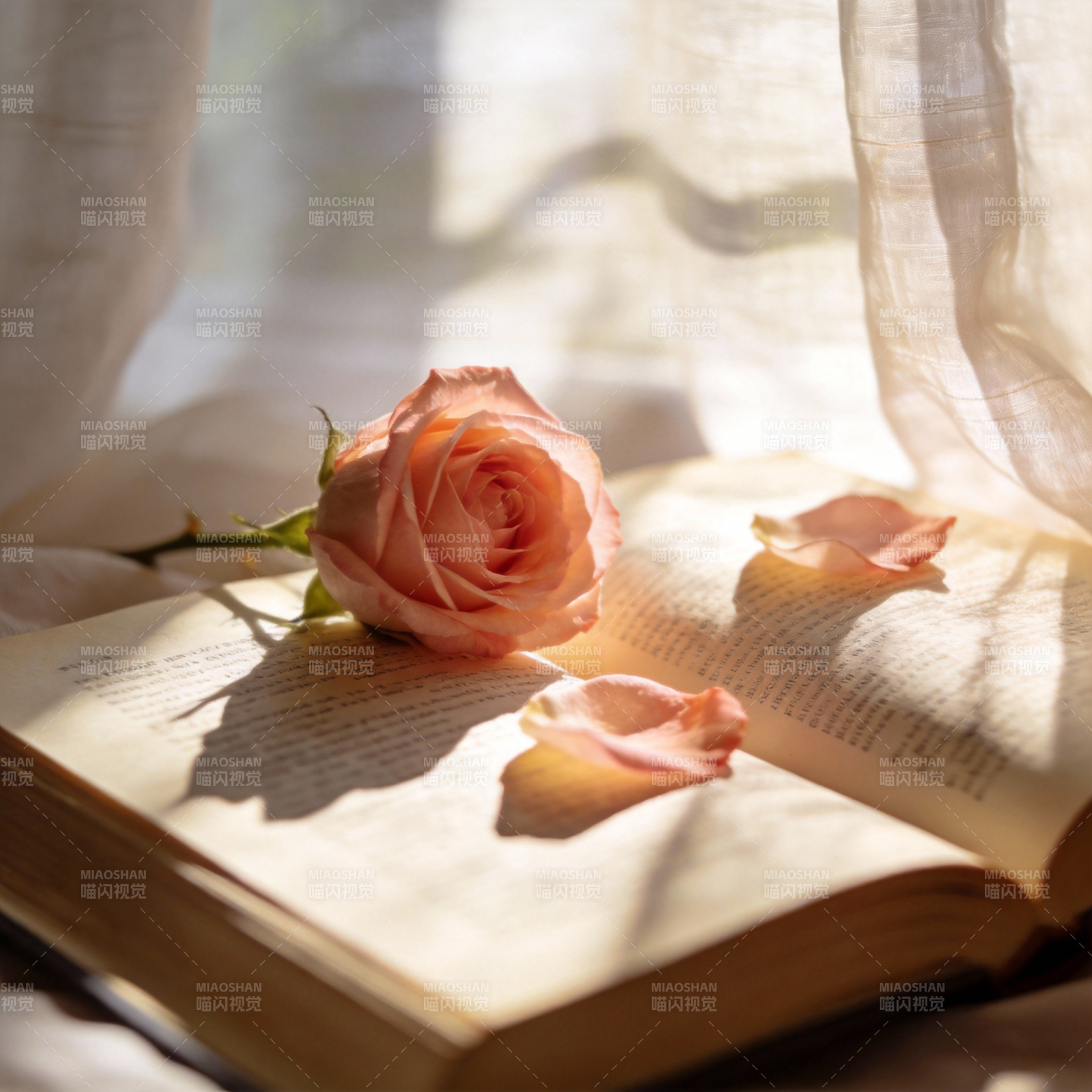玫瑰书页静谧时光图片