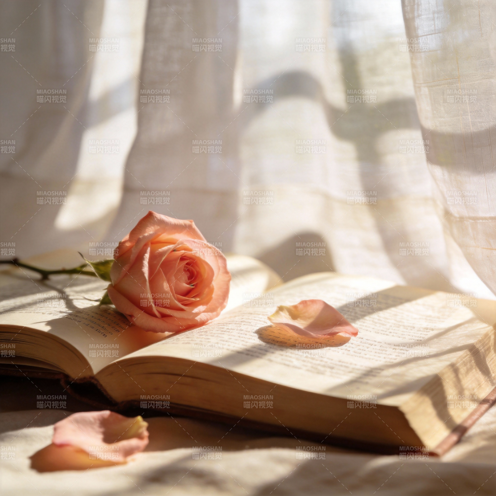 玫瑰与书的静谧图片