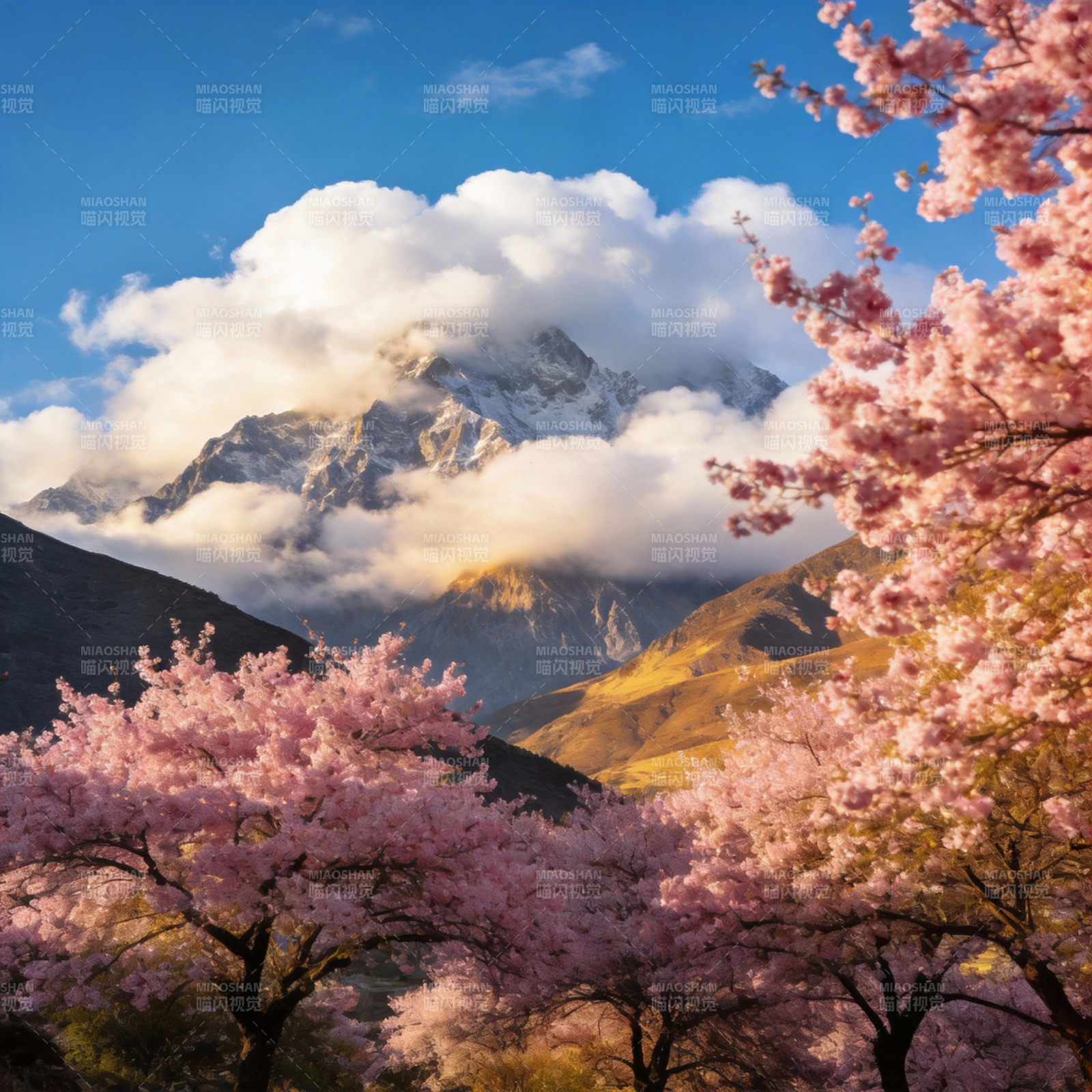 雪山樱花春景图片