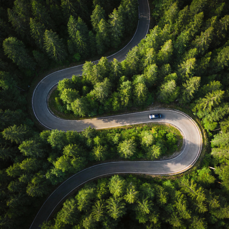林间蜿蜒路图片