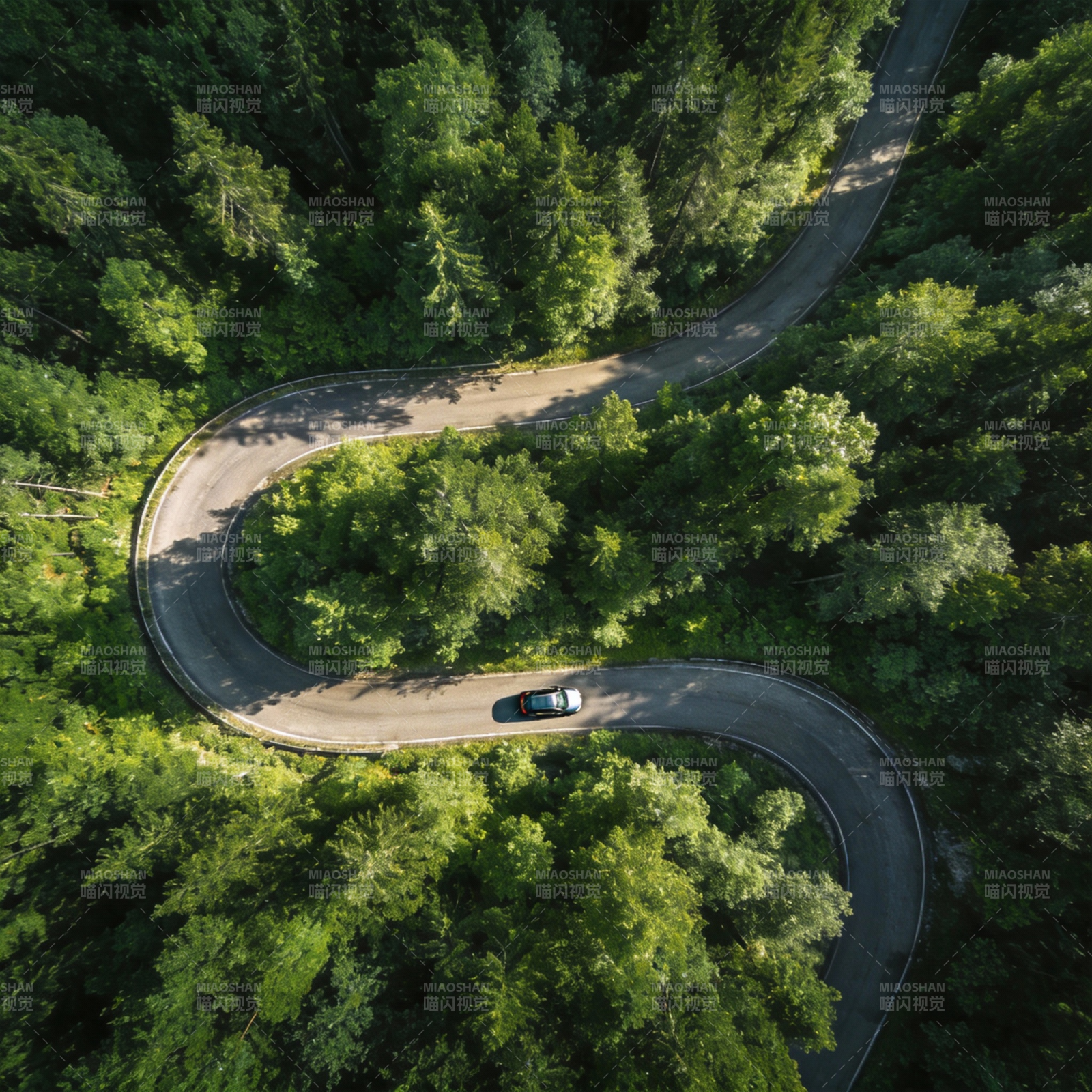 林间蜿蜒路图片