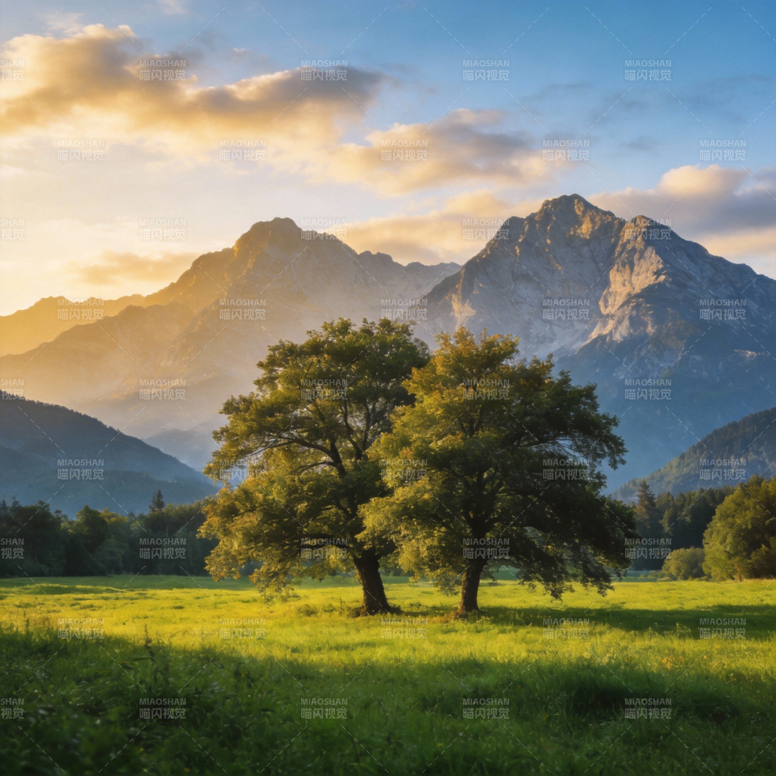 山间双树映斜阳图片