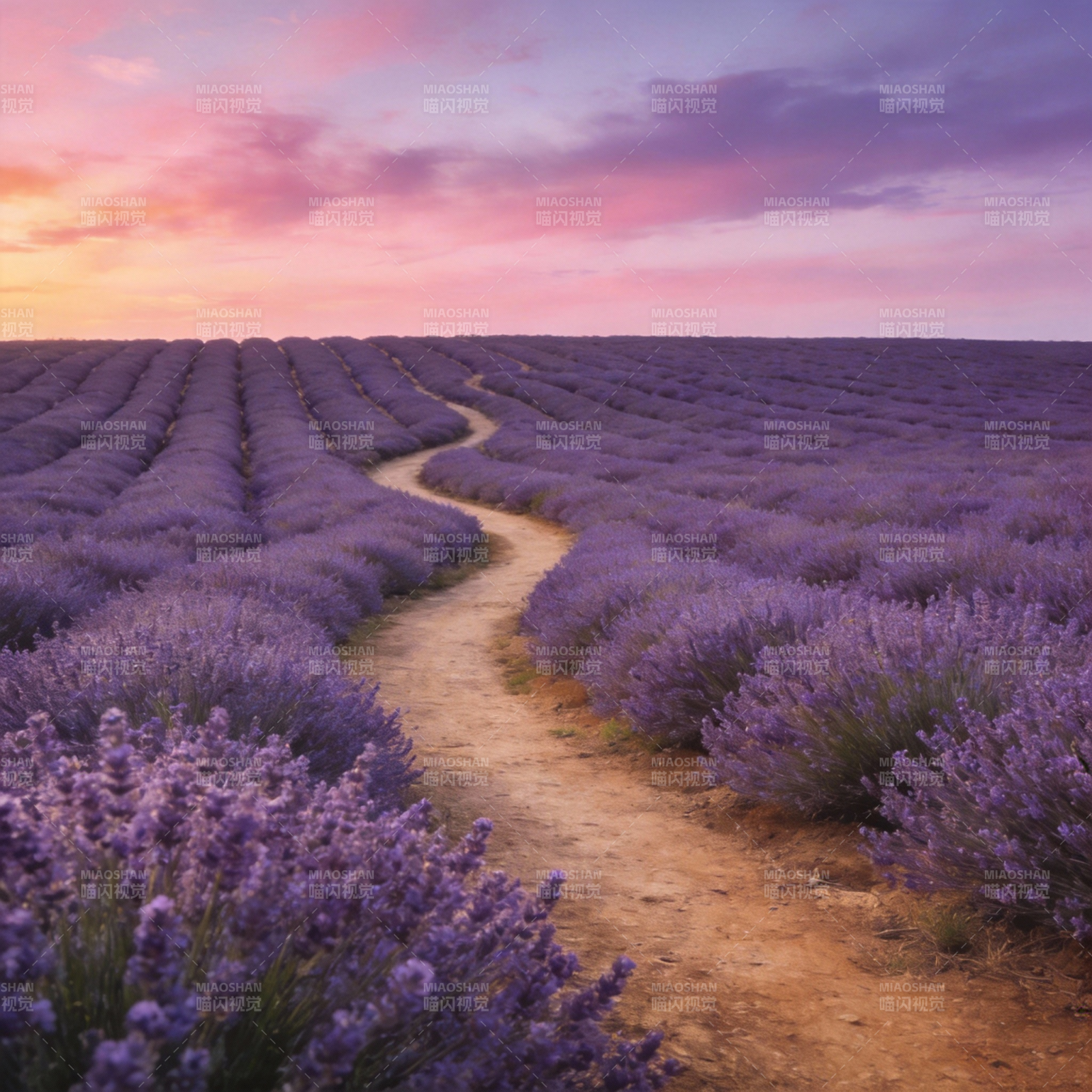 薰衣草田日落美景图片