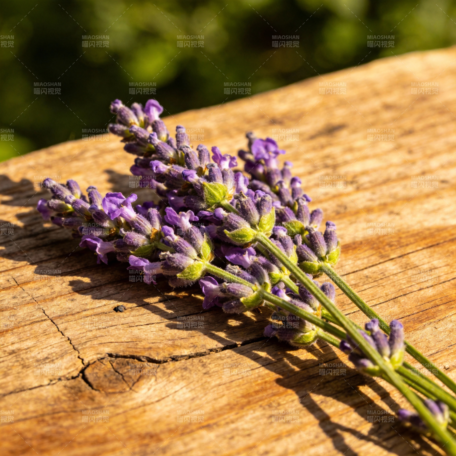 薰衣草静置木桌图片