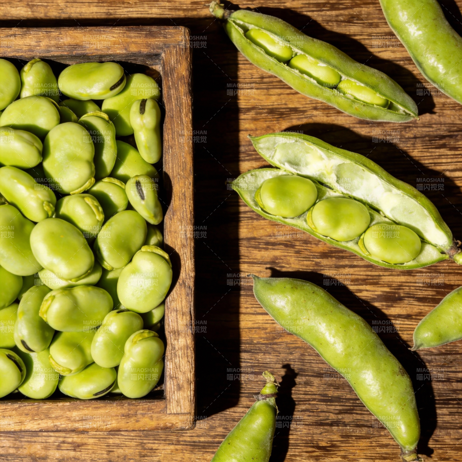 新鲜蚕豆特写图片
