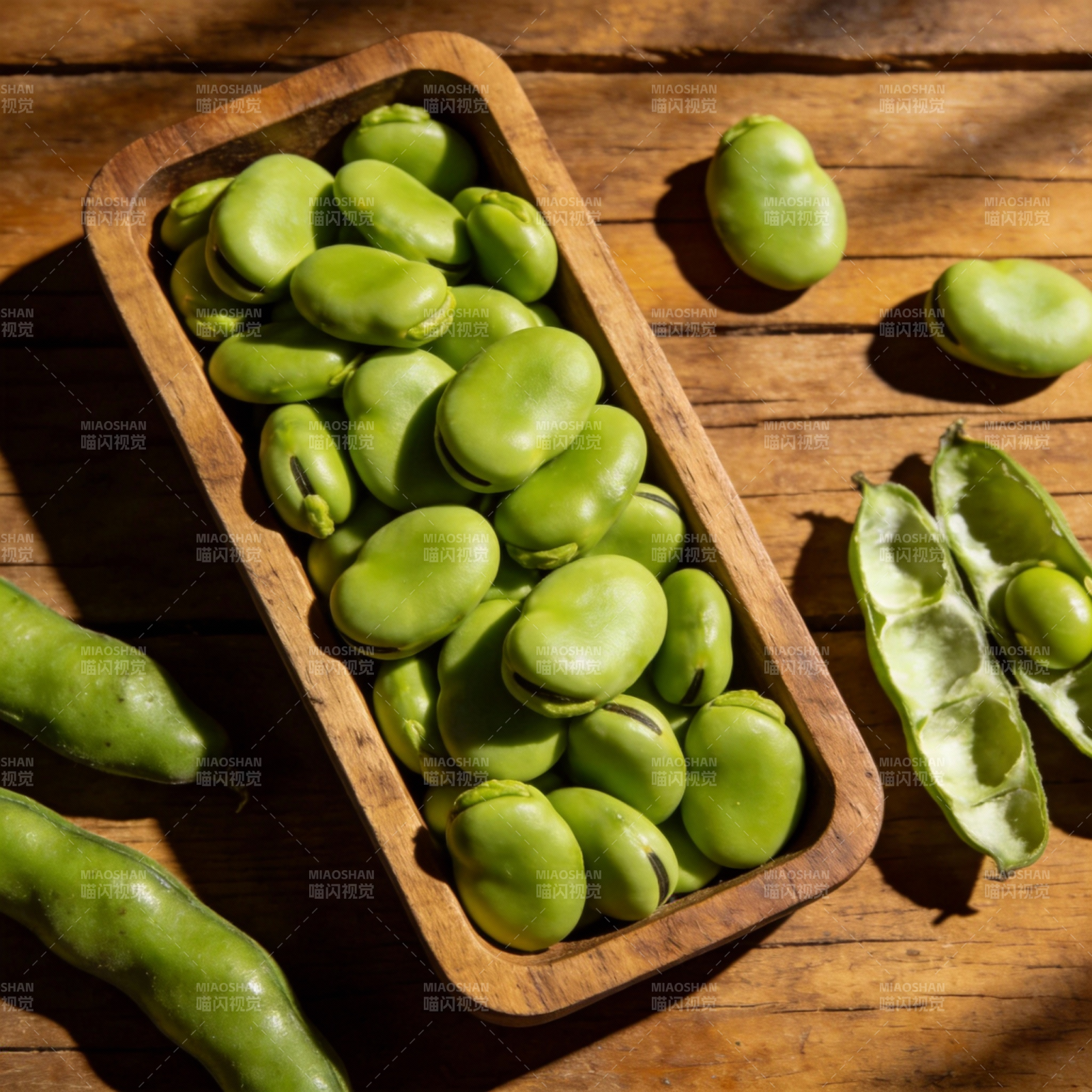 新鲜蚕豆特写图片