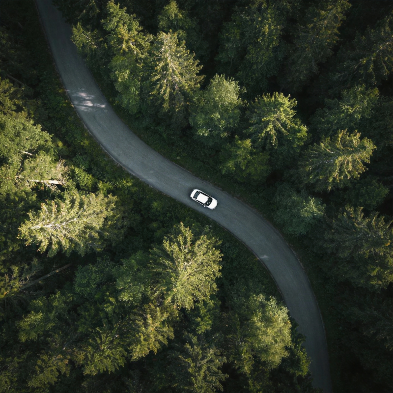 林间蜿蜒路车行图片