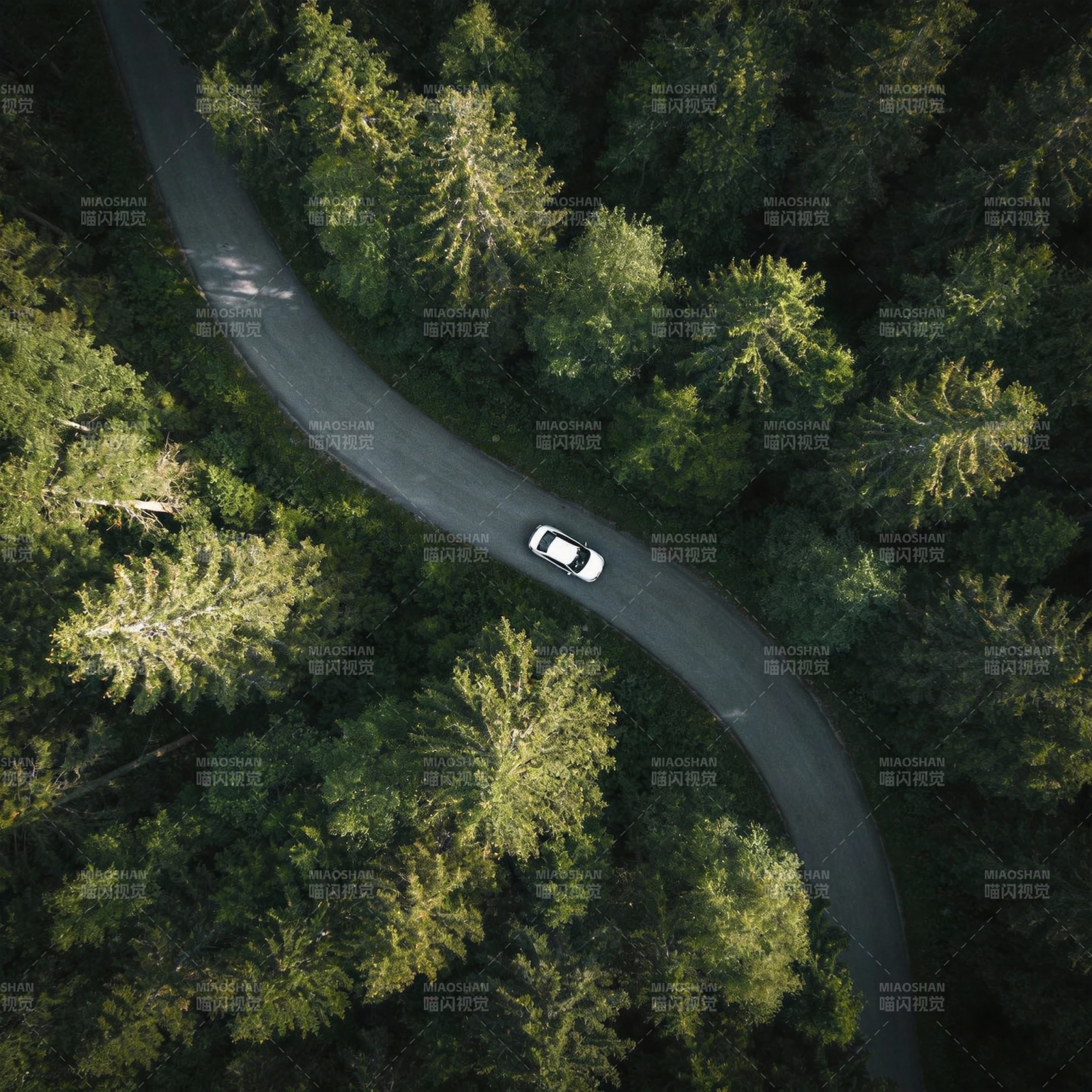 林间蜿蜒路车行图片