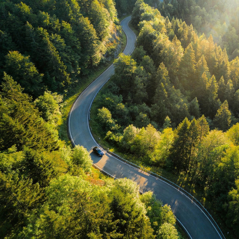 林间蜿蜒路图片