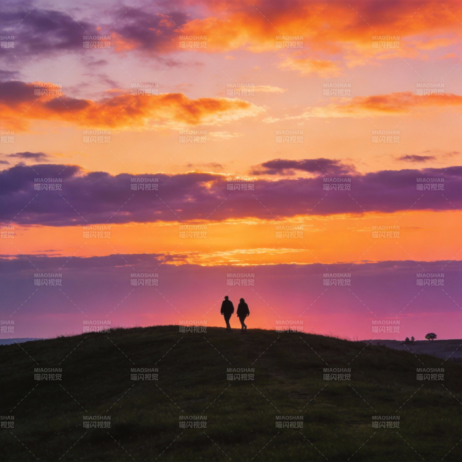 夕阳下的剪影图片
