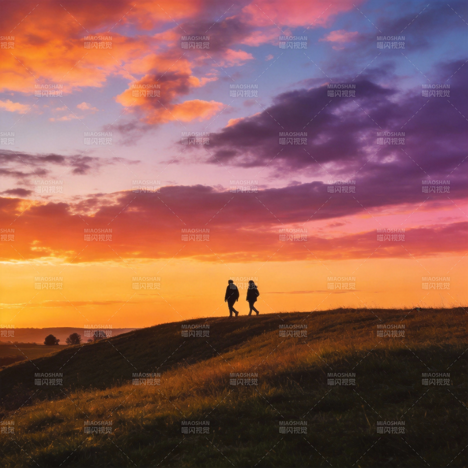 夕阳下的行走图片
