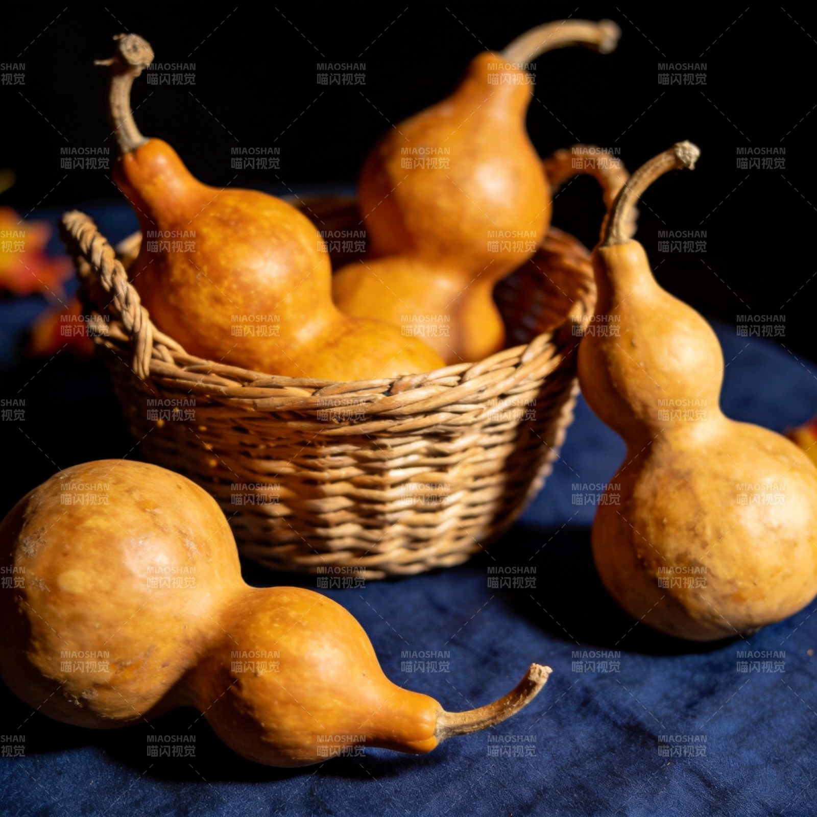 金秋葫芦静物图图片