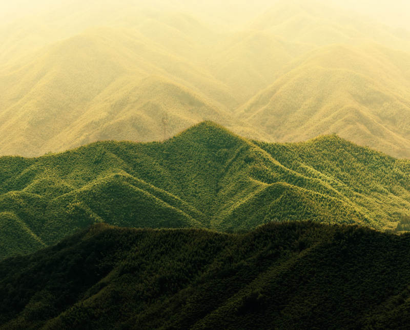 层峦叠翠 雾霭朦胧  莫干山图片