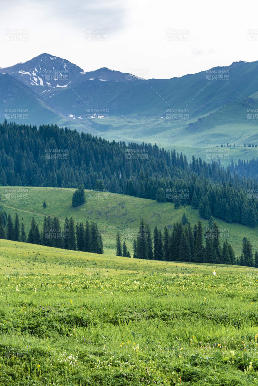 那拉提草原青山绿野风光图片