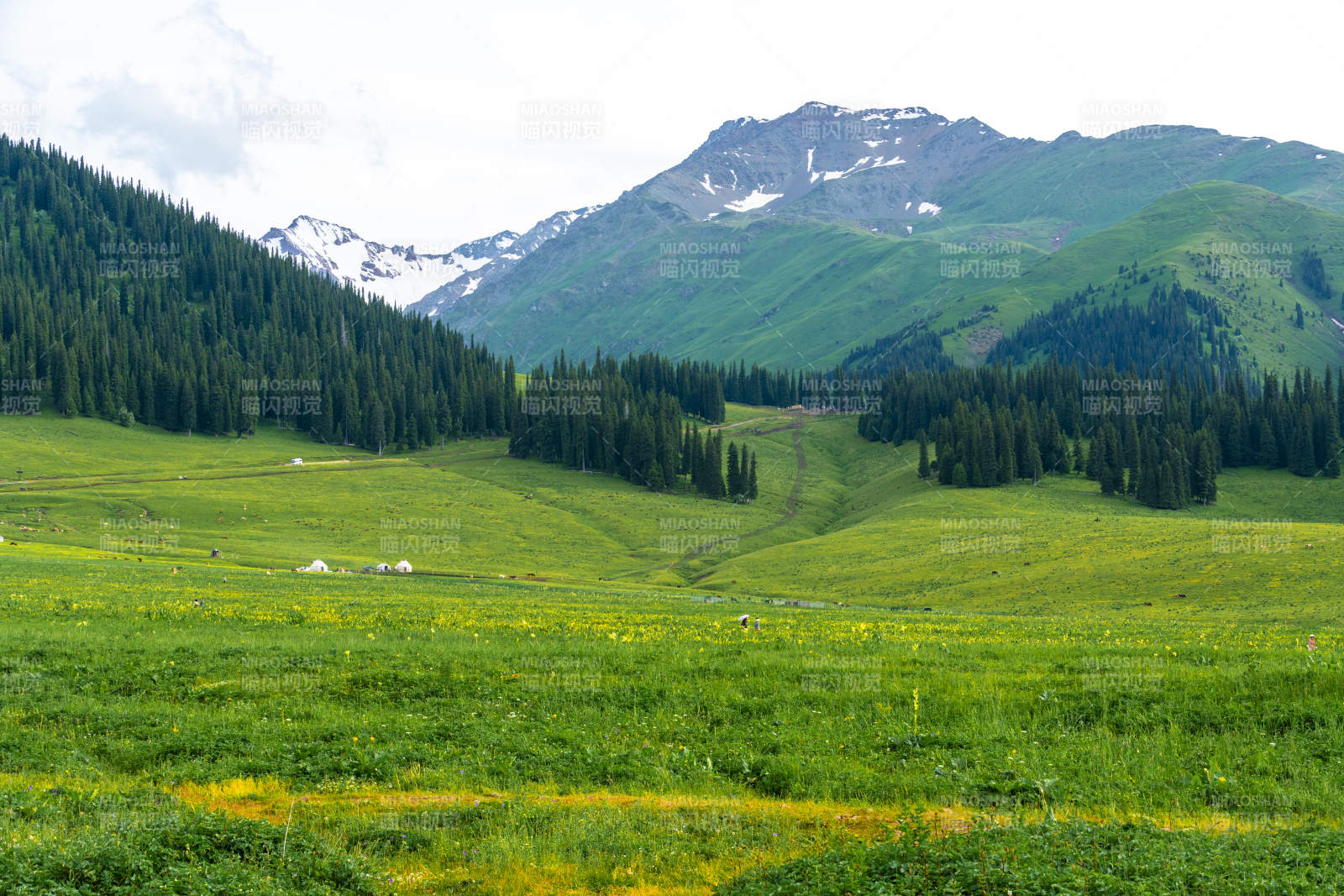那拉提草原青山绿野风光图片