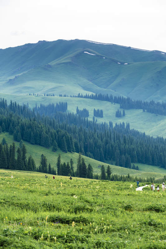 那拉提草原绿野山峦 人影点缀图片