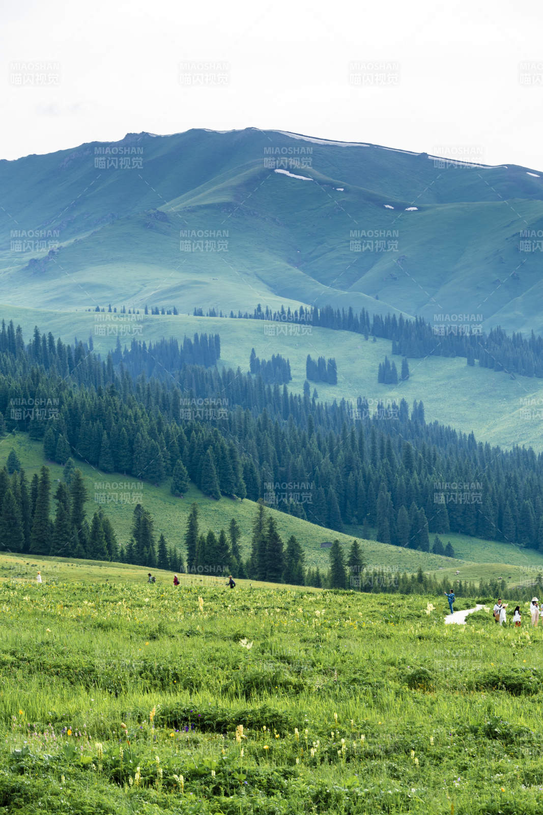 那拉提草原绿野山峦 人影点缀图片