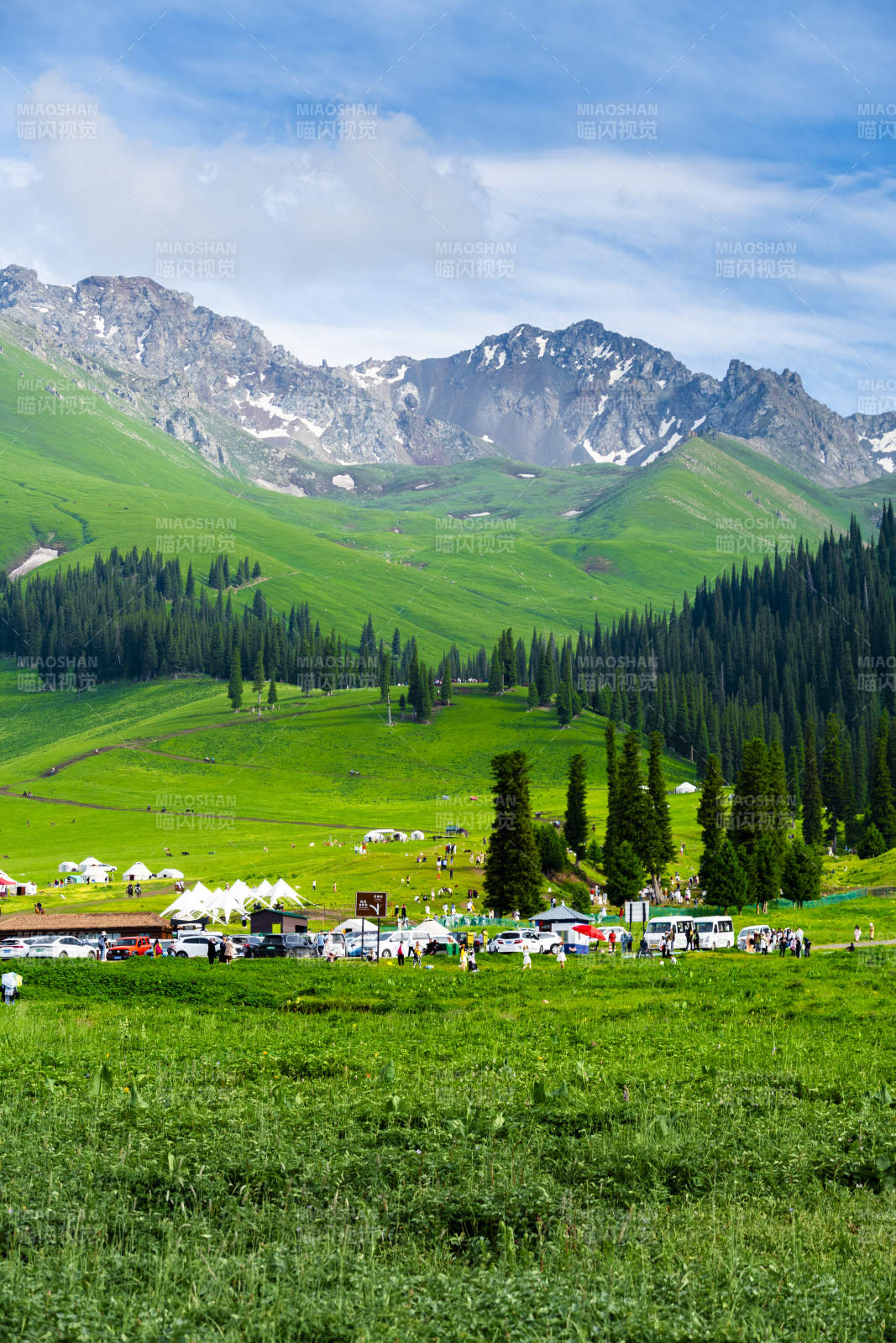 那拉提草原绿野雪山风光图片